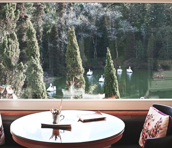 ambiente_junto_ao_lago_negro