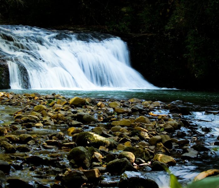 eco_parque_sperry eco_parque_sperry