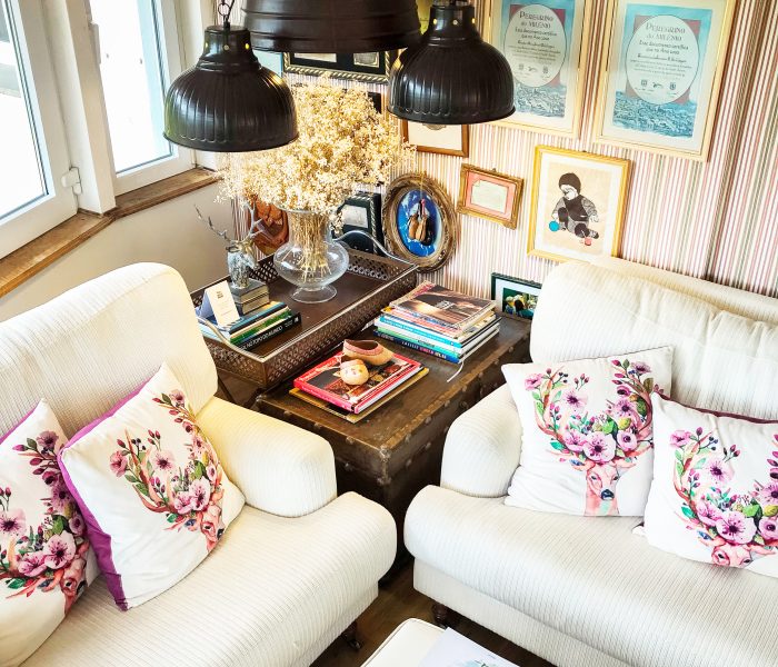 fotos-mini-biblioteca