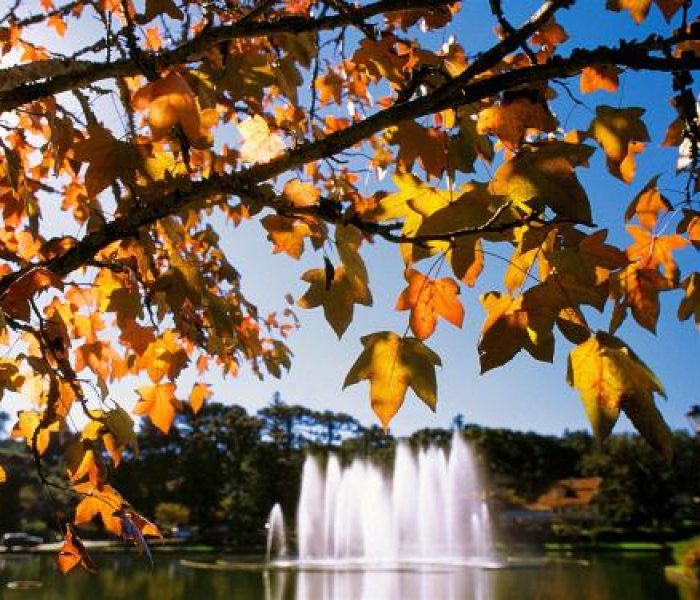 lago-joaquina-rita-bier