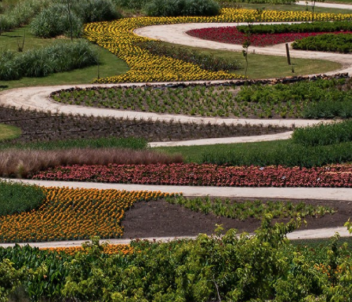 matria_parque_flores