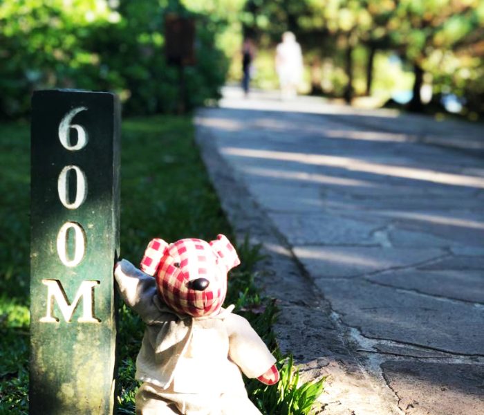 trilha-caminhada-em-frente-ao-hotel-no-lago-negro